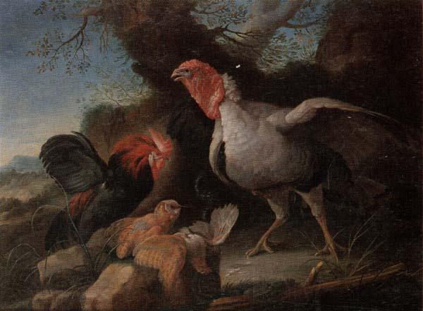 unknow artist Still life of a turkey,a bantan,a barn owl and a grey partridge in a rocky landscape